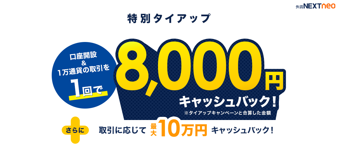 外為どっとこむLP画像